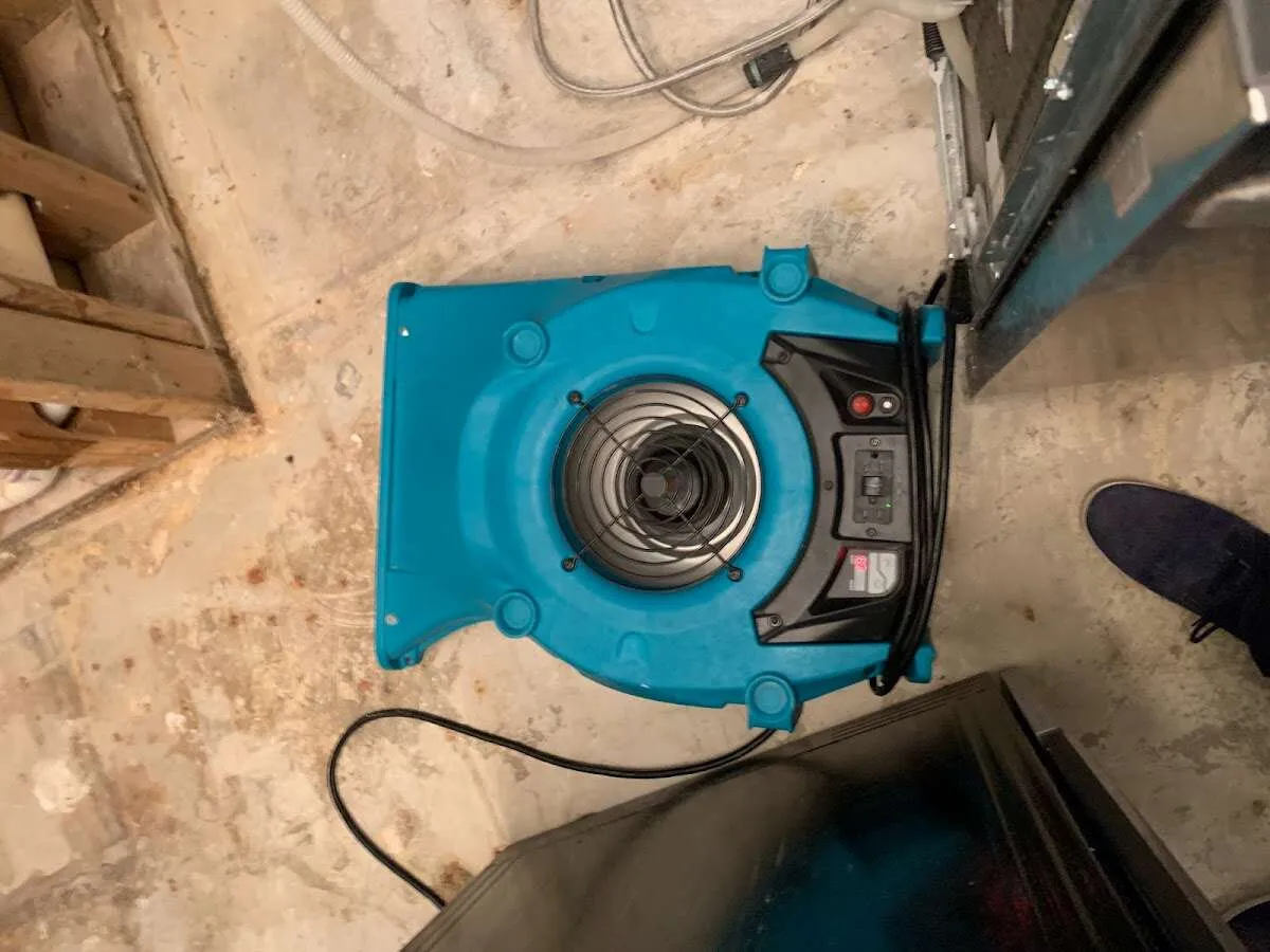 Air mover drying equipment for Mold Remediation & Removal in Crawfordville