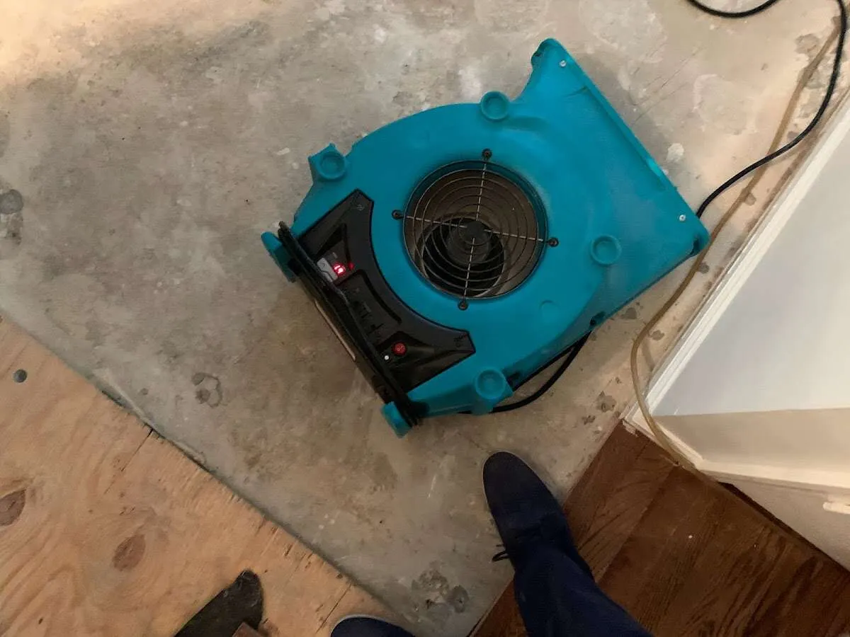 Air mover drying subfloor during Leak Detection & Repair in Crawfordville